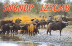 5N6NDP (2002)